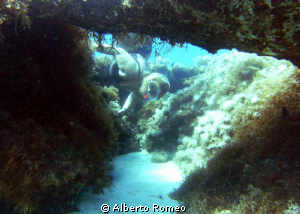 Skindiving apnea in the little triangular grotto in Monde... by Alberto Romeo 